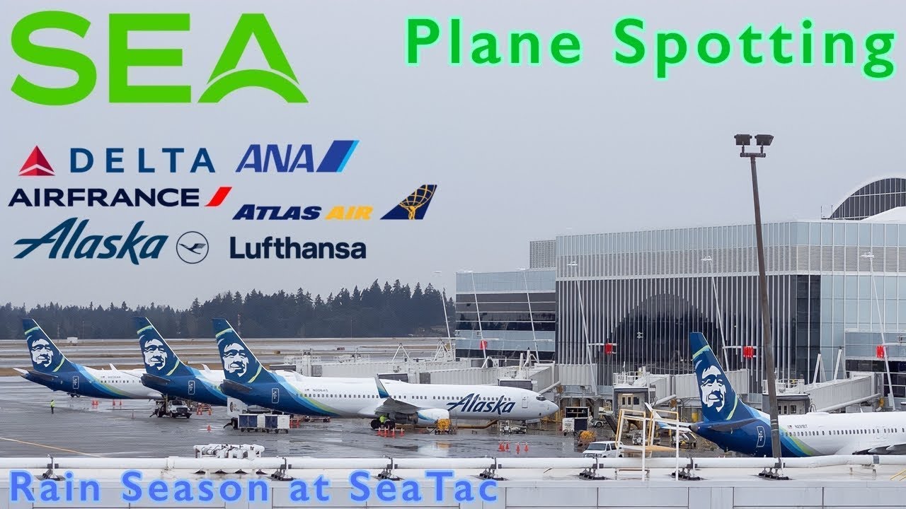 🔴LIVE Seattle Airport | SEA LIVE | Plane Spotting (Happy Thanksgiving/Black Friday)