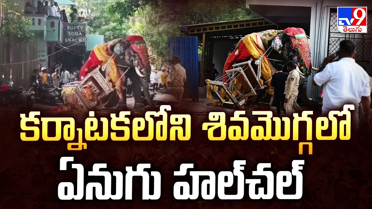 Elephant Runs Amok In Shivamogga Dasara | కర్నాటకలోని శివమొగ్గలో ఏనుగు హల్&zwnj;చల్&zwnj; - TV9
