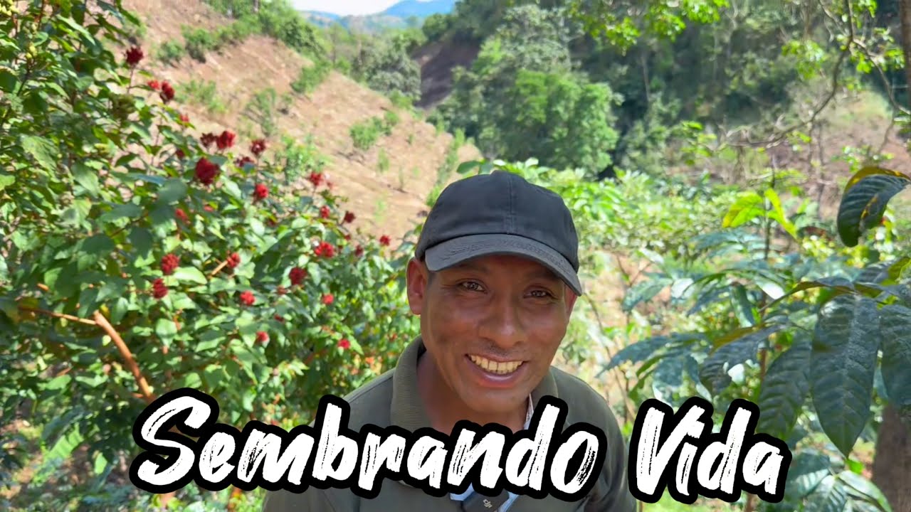 Sembrando Vida - Evitando Migración