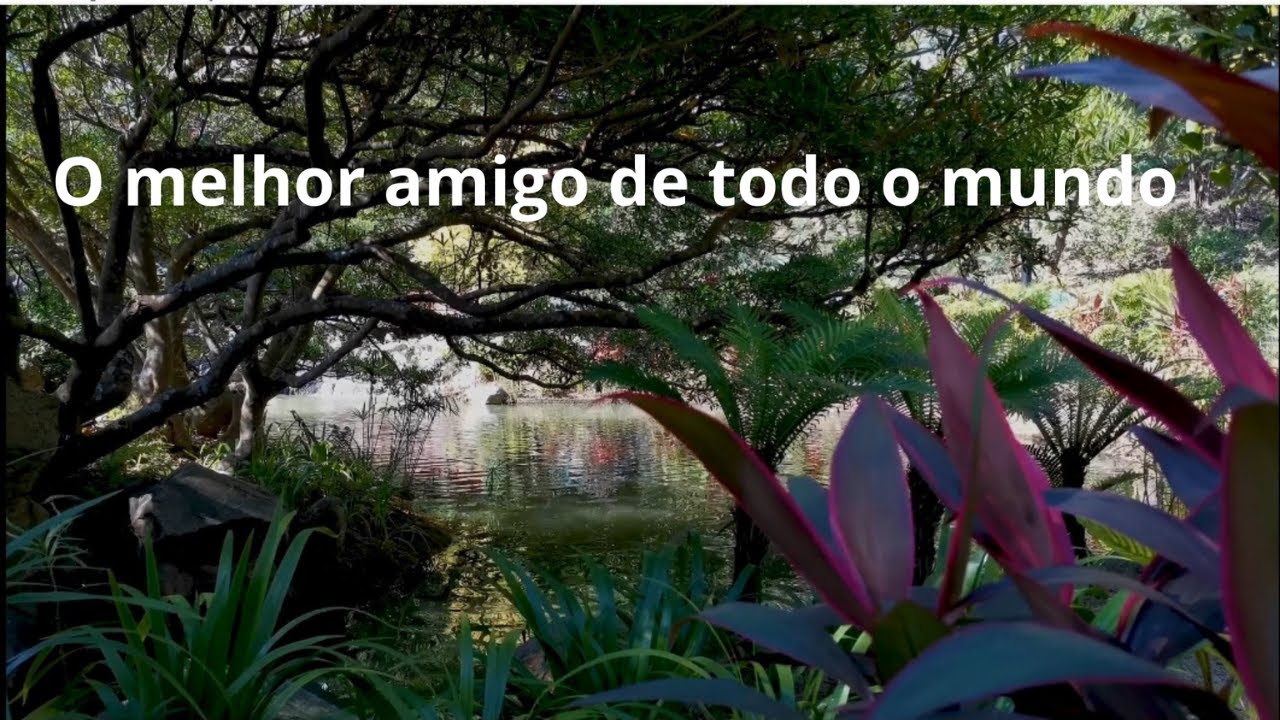 O melhor amigo de todo o mundo - Momento Espírita