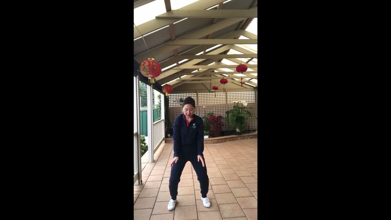 Qi Gong 18 Form Set 2