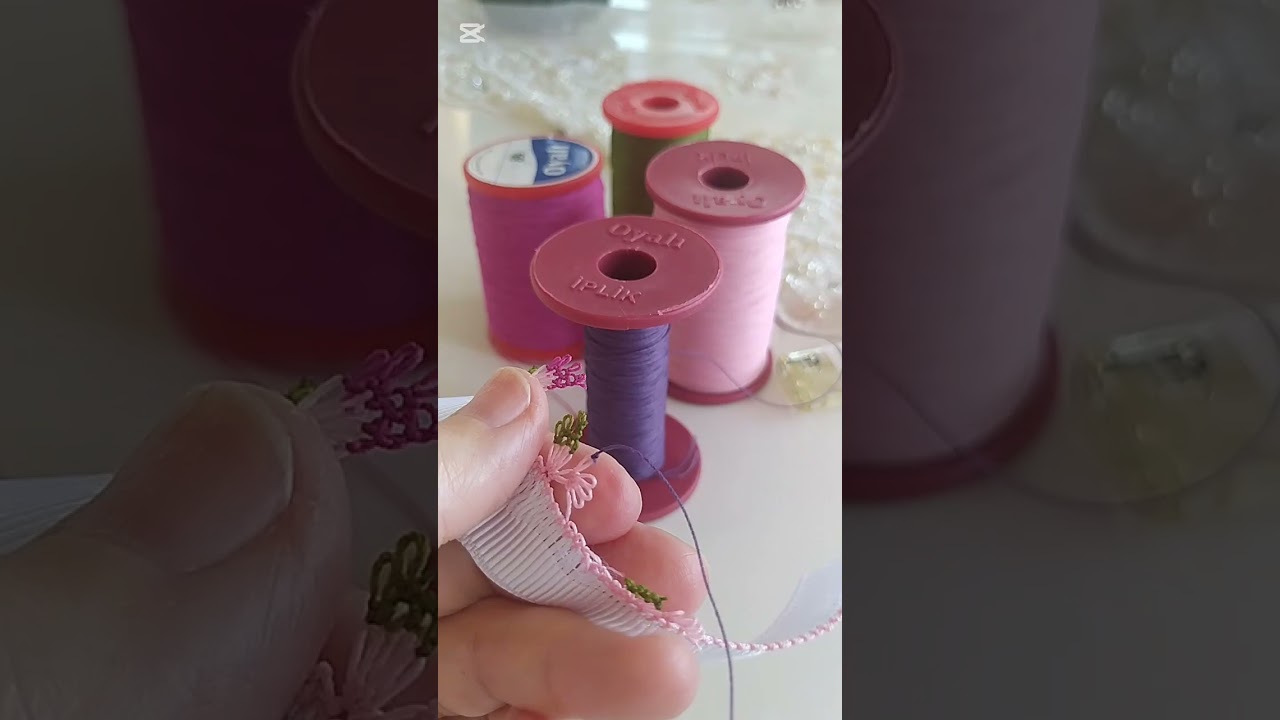İki farklı üzüm modeli 