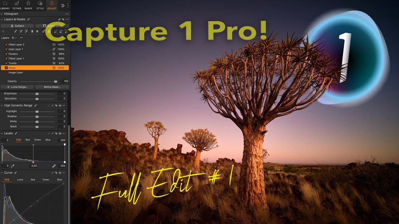 Capture One - Full Edit # 1