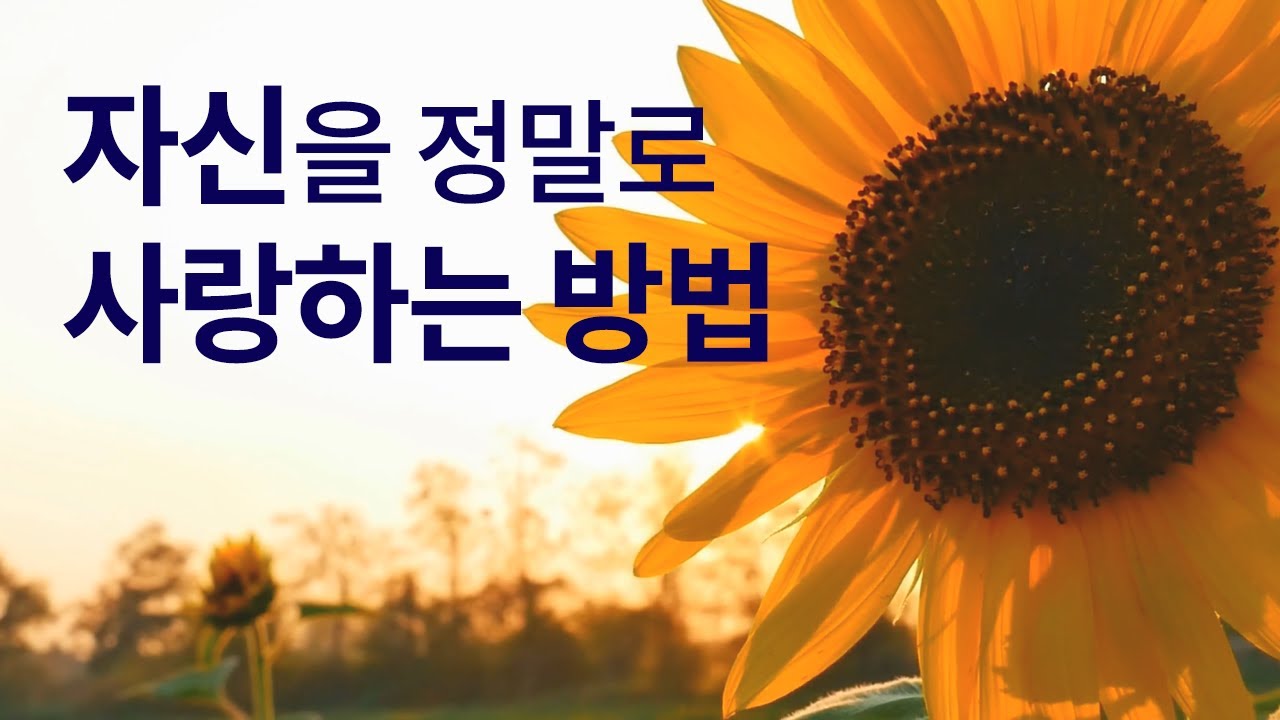 자신을 정말로 사랑하는 방법 | 순수의식, 초의식을 만나는 방법 | 깨달음이 있는 명상강연  [Level 2]