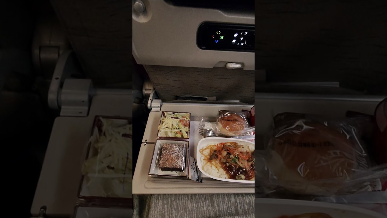 ASIANA AIRLINES MEAL IN AIRBUS A380!