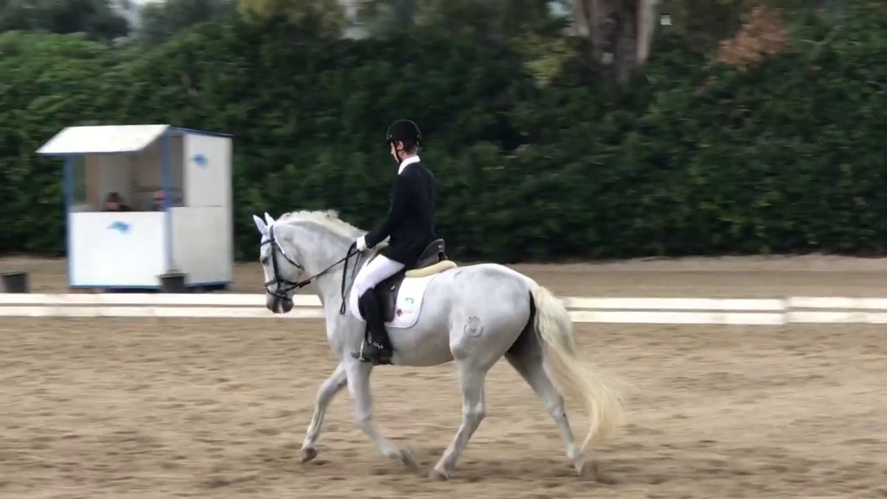 Seconda Tappa Circuito Invernale Lazio Dressage 2017 - E80