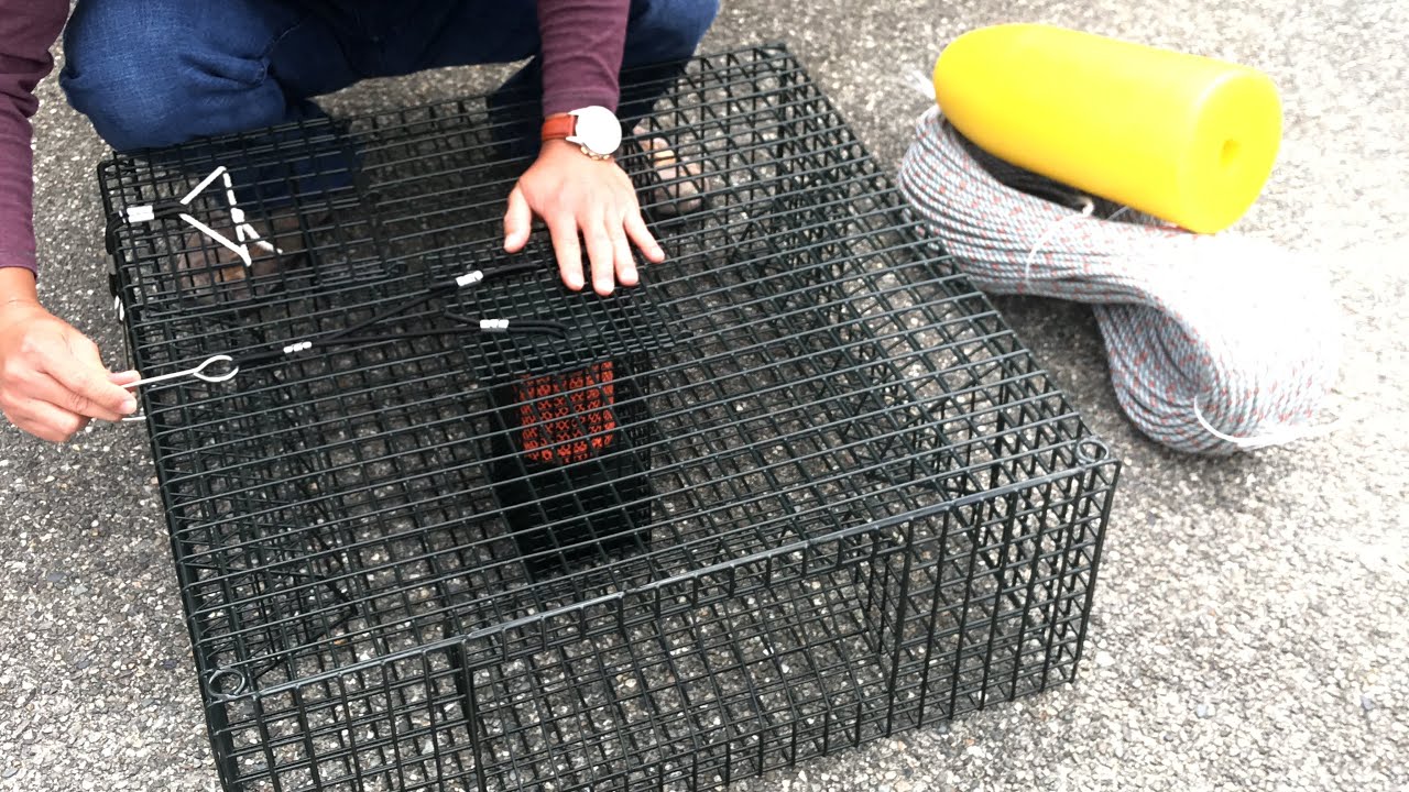 Shrimp Trap