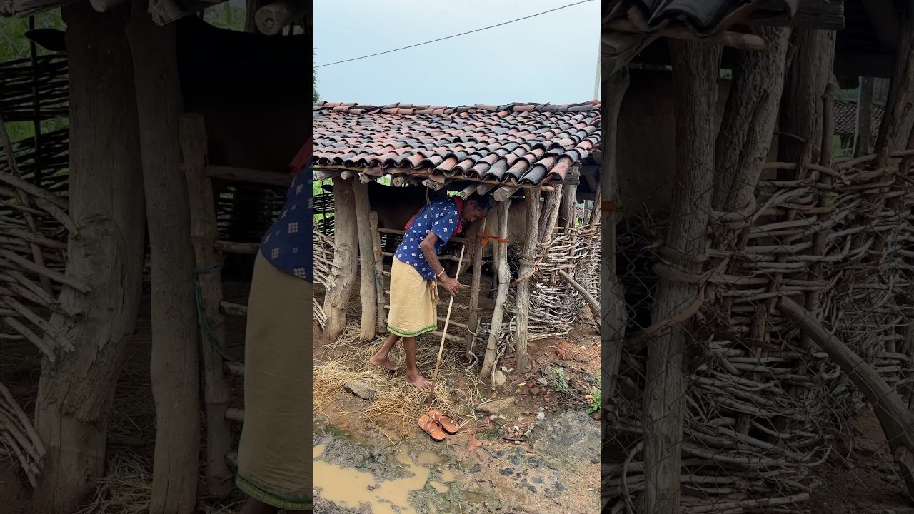 odisha village lifestyle | orissa village lifestyle | odisha village life style | odisha village