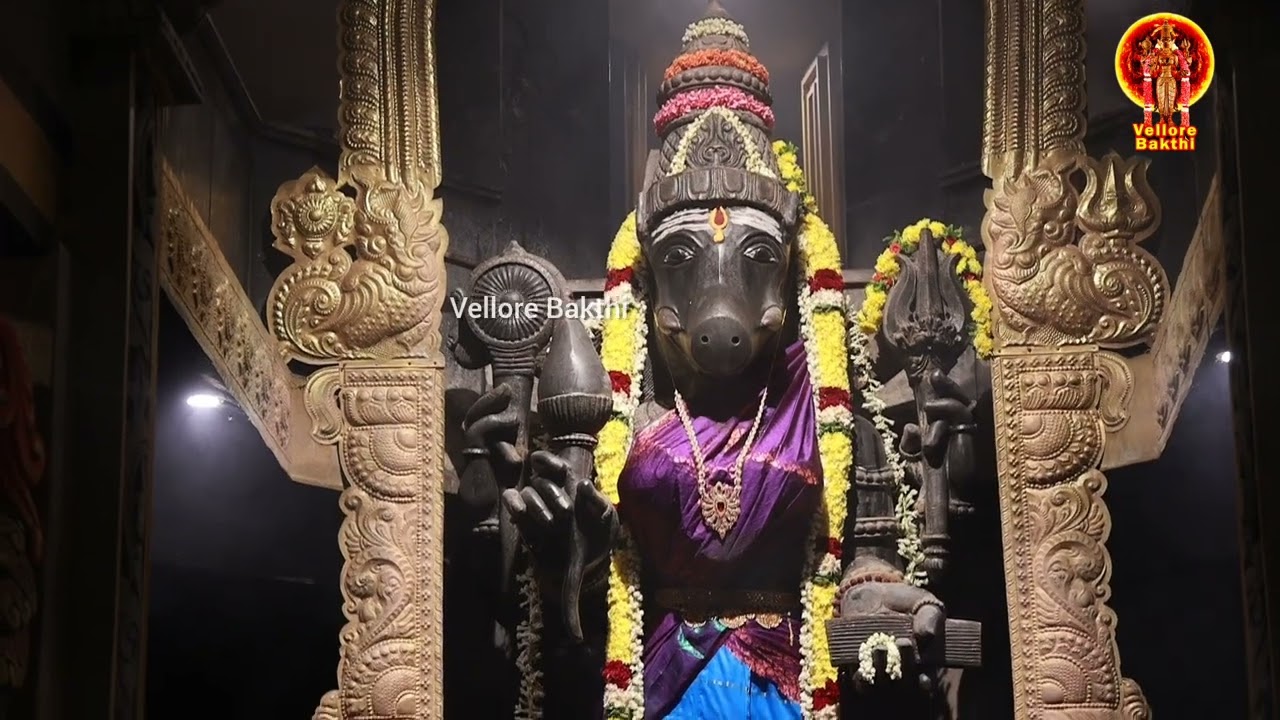 Trisakthi Varahi Abisegam @ Alangaram Tristhalam Aadhi Varahi Abisegam & Alangaram  Mrs.Sarasavathi