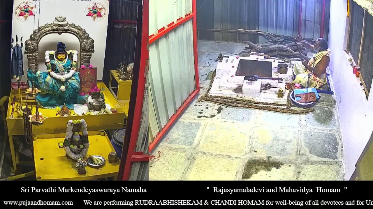 Rajasyamaladevi Navaratri Day 2