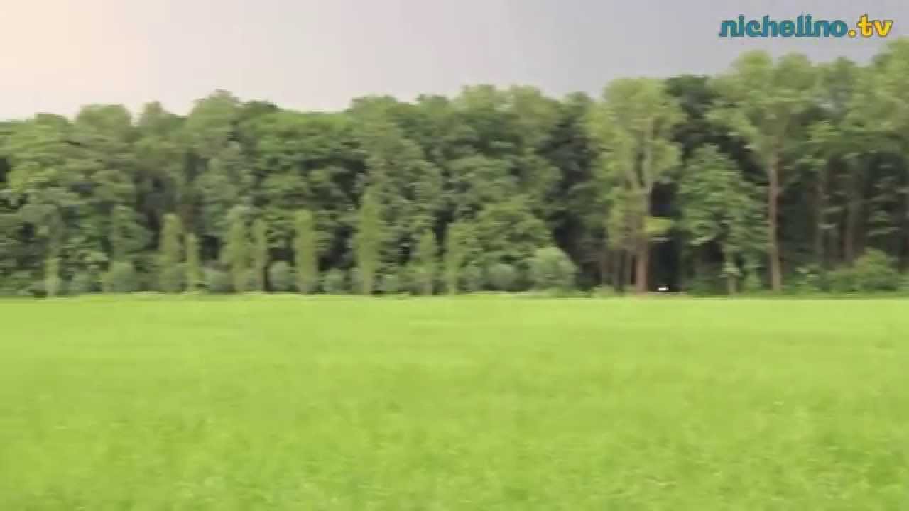 Stupinigi Fertile - Azienda Agricola 'Siccardi'