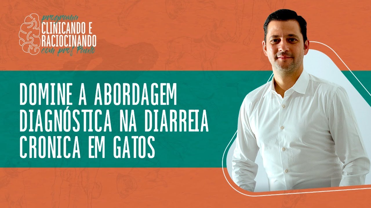 Domine a abordagem diagnóstica na diarreia cronica em gatos
