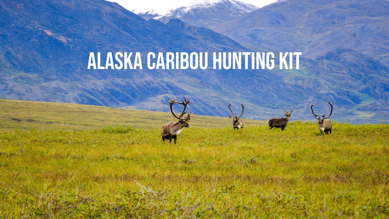 Alaskan Caribou Hunt Pack Dump