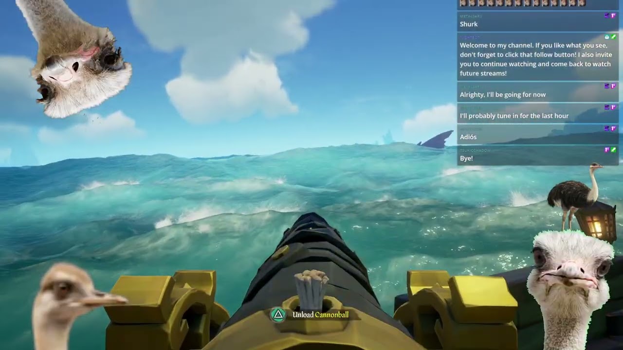 First, and probably only, Shrouded Ghost I'll ever encounter