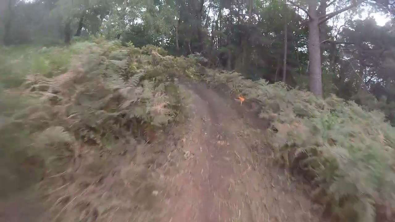 Track n Trail Lytchett Estate Enduro Practice 16/9/23 Part 3