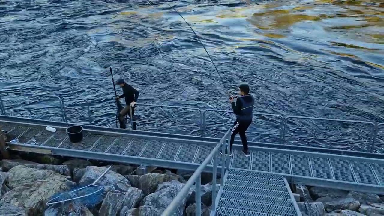 Karim drillar upp nytt personbästa på lax - 13,2 kilo!