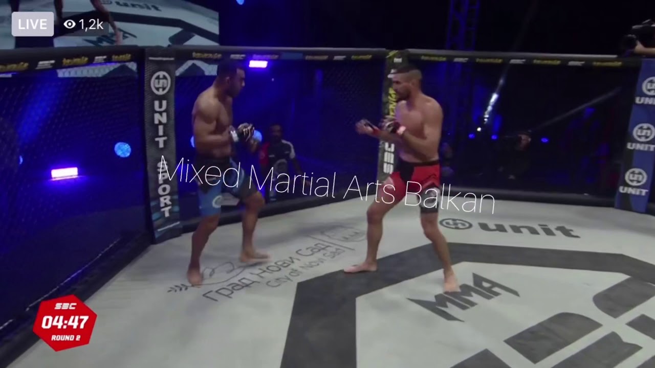 Goran Reljić vs Pedro Dos Santos SBC