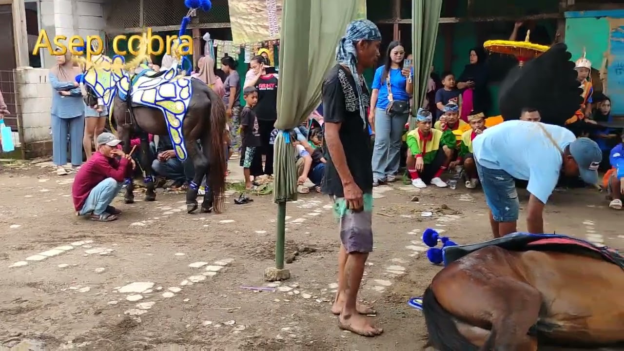 ATRAKSI KUDA RENGGONG PPG DI KAMPUNG TANGGENG ACARA ULANG TAUN 