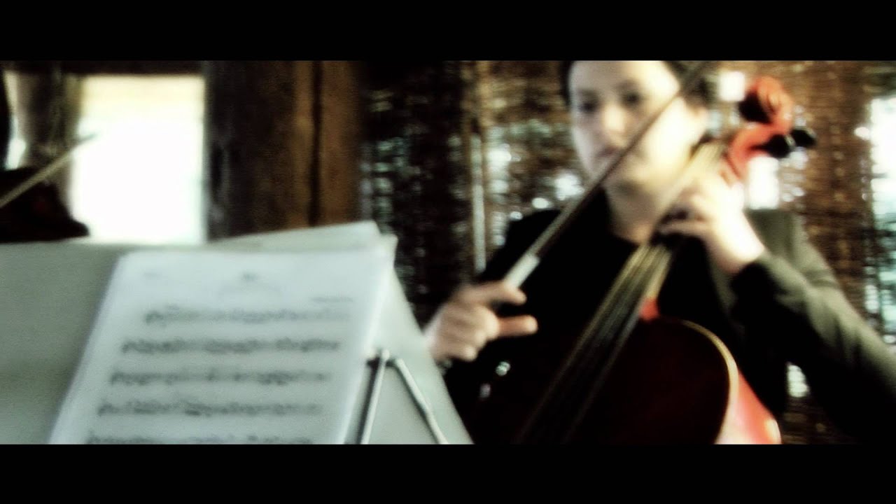 StringArte J.S.BACH Aria Na Strunie G