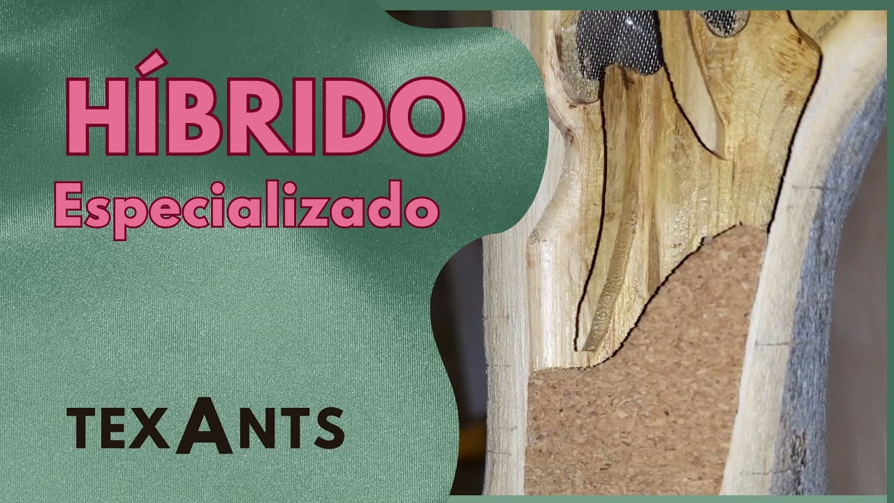 🚩Como DISEÑAR un Hormiguero De una RAMA para CEPHALOTES con Incrustaciones de CORCHO (ARBORICOLAS)