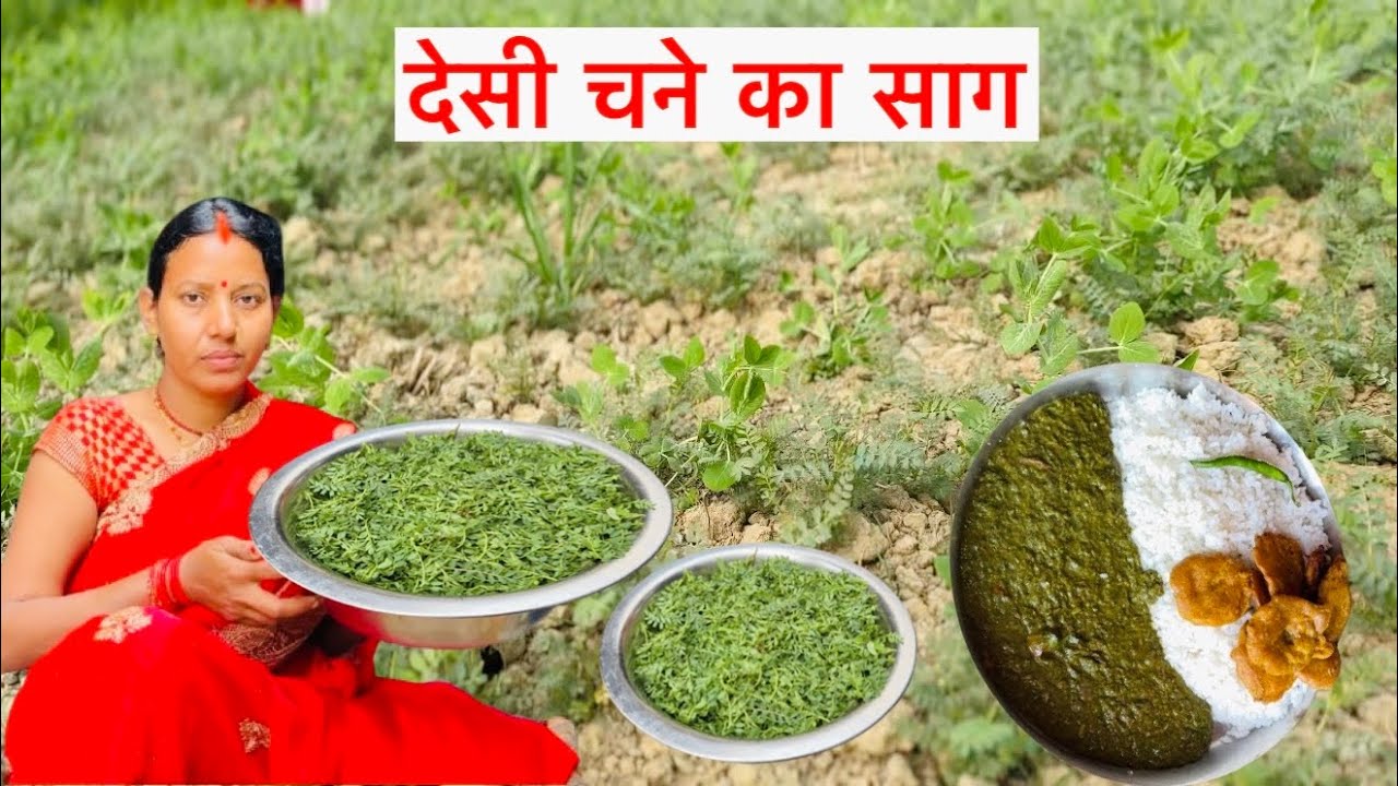 चने और बथुआ का मिक्स साग इस निधि से बनाये |चने का साग बनाने की विधि |Aajkakitchen |