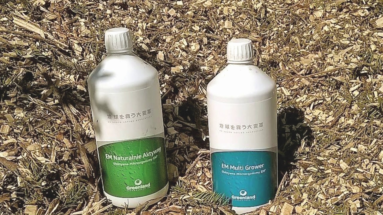 Metoda Bokashi: jak przetworzyć surowce roślinne w doskonałej jakości nawóz organiczny.