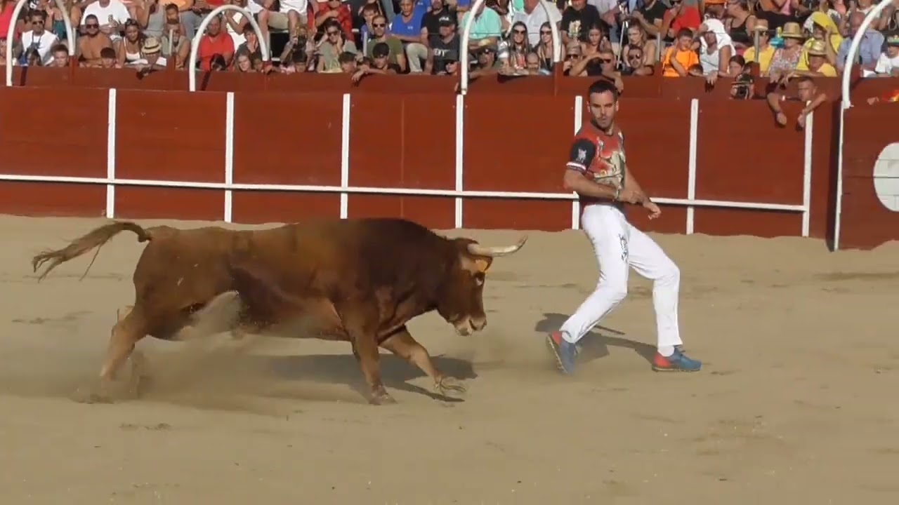 Mejorada del Campo