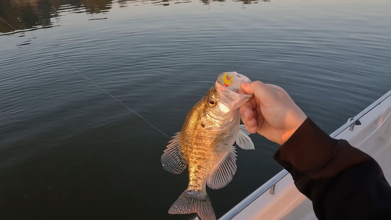 Early Spring Crappie Fishing at its Finest!