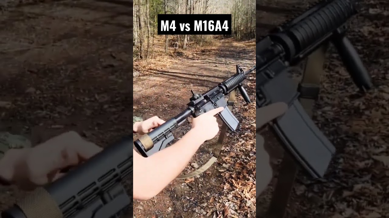 M4 vs M16A4 #shortvideo #shortyoutube #m4 #m416 #guns #warzone #callofduty #shortfeed