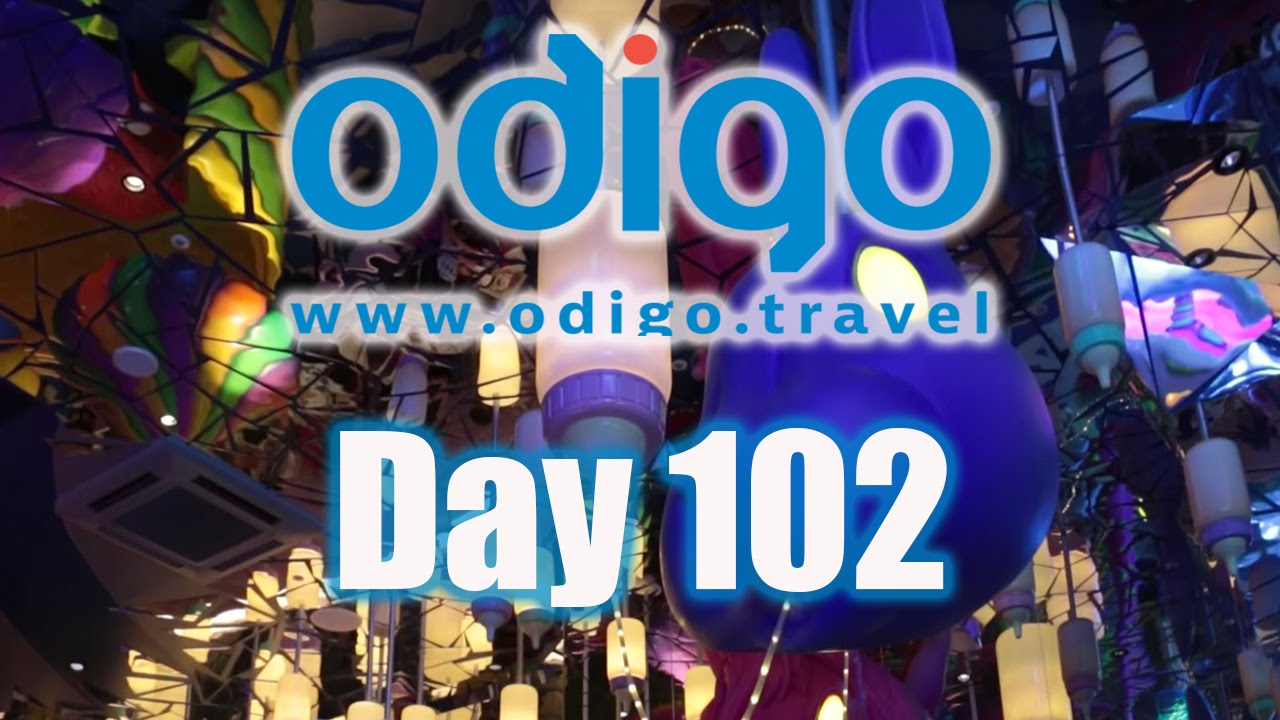 Tokyo Vlog: Shibuya, Harajuku, Omotesando [Ft. OkanoTV, MillieFreckles & Shizuka Anderson]