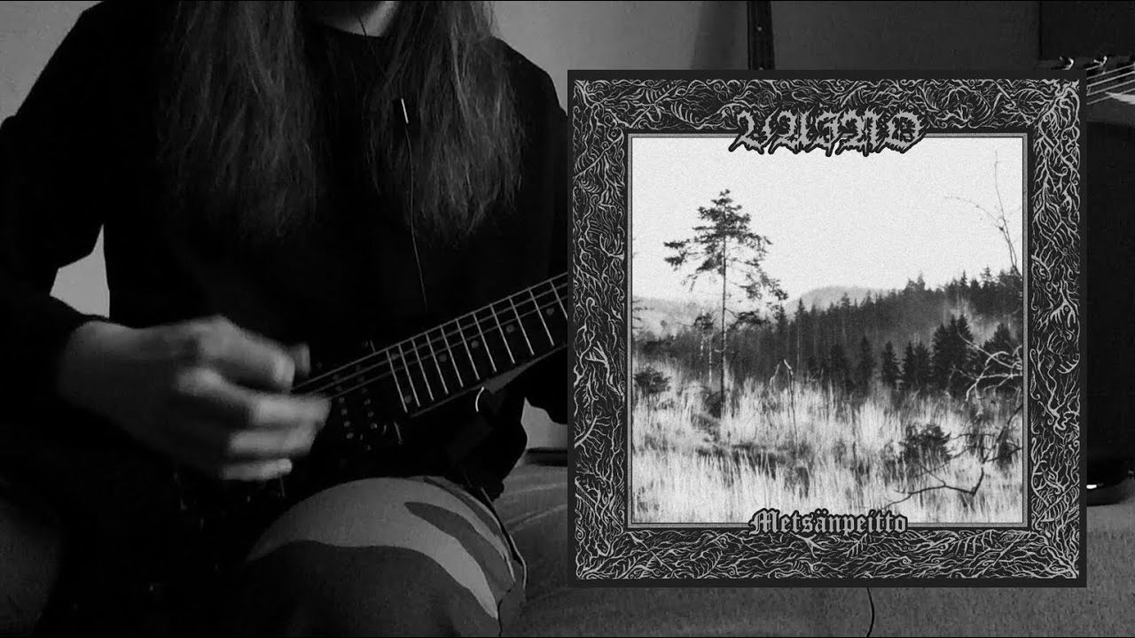 Vaino - Poismenneen Loisto (guitar cover)