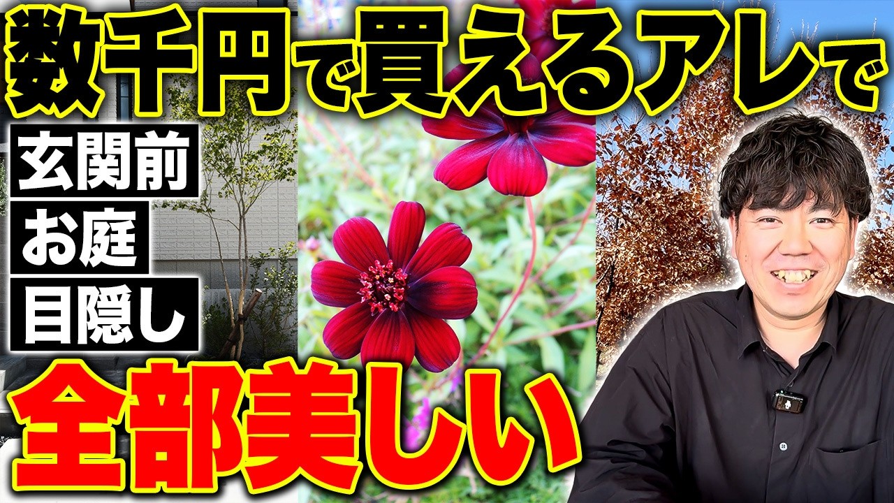 【騙されたと思ってやって】「その花、何？」と聞かれたら勝ち。シンボルツリーのセンスで差をつける“被らない”庭づくり10選【注文住宅/外構/植栽/ガーデニング/ノエル静岡藤枝店】