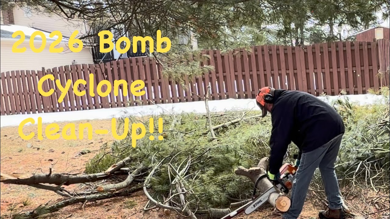 Уборка последствий циклона 2026 года 💣 с помощью бензопилы Stihl MS250 #дрова #сделайсам #подрабо...