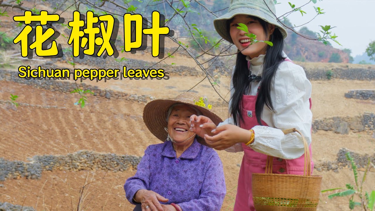其实花椒不仅可以做调料，春天的花椒叶还可以炒菜吃哦！【叫我阿霞Channel】