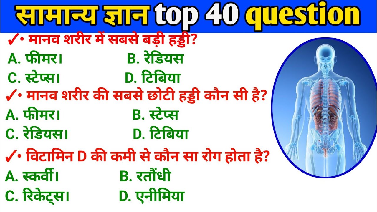 General knowledge l Gk Quiz। Gk In Hindi। Hindi Gk questions & answer। General awerness।#gk #gkquiz 