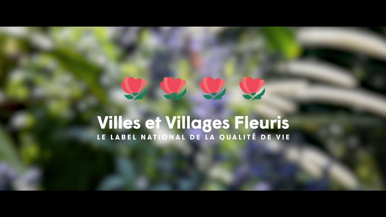 Cholet 4 fleurs - Le film