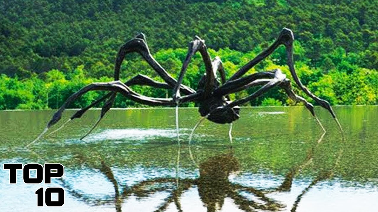 Top 10 Bizarre Creatures Found In The Bermuda Triangle - Part 2