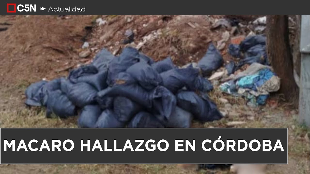 MACABRO HALLAZGO en CÓRDOBA: un PERRO VOLVIÓ a la CASA con una PIERNA