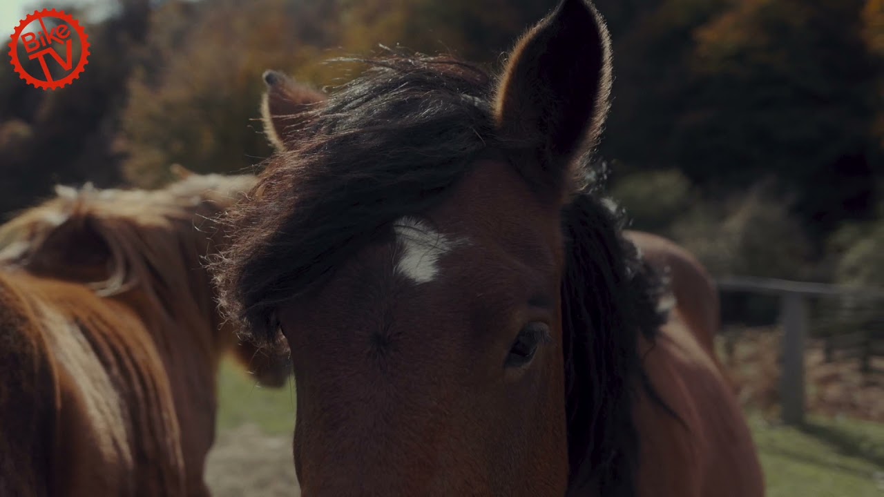 Navarra MTB Kingdom &ndash; David Cachon