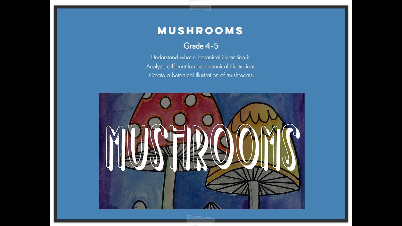 Artbx.org Presents Mushroom Art Lesson