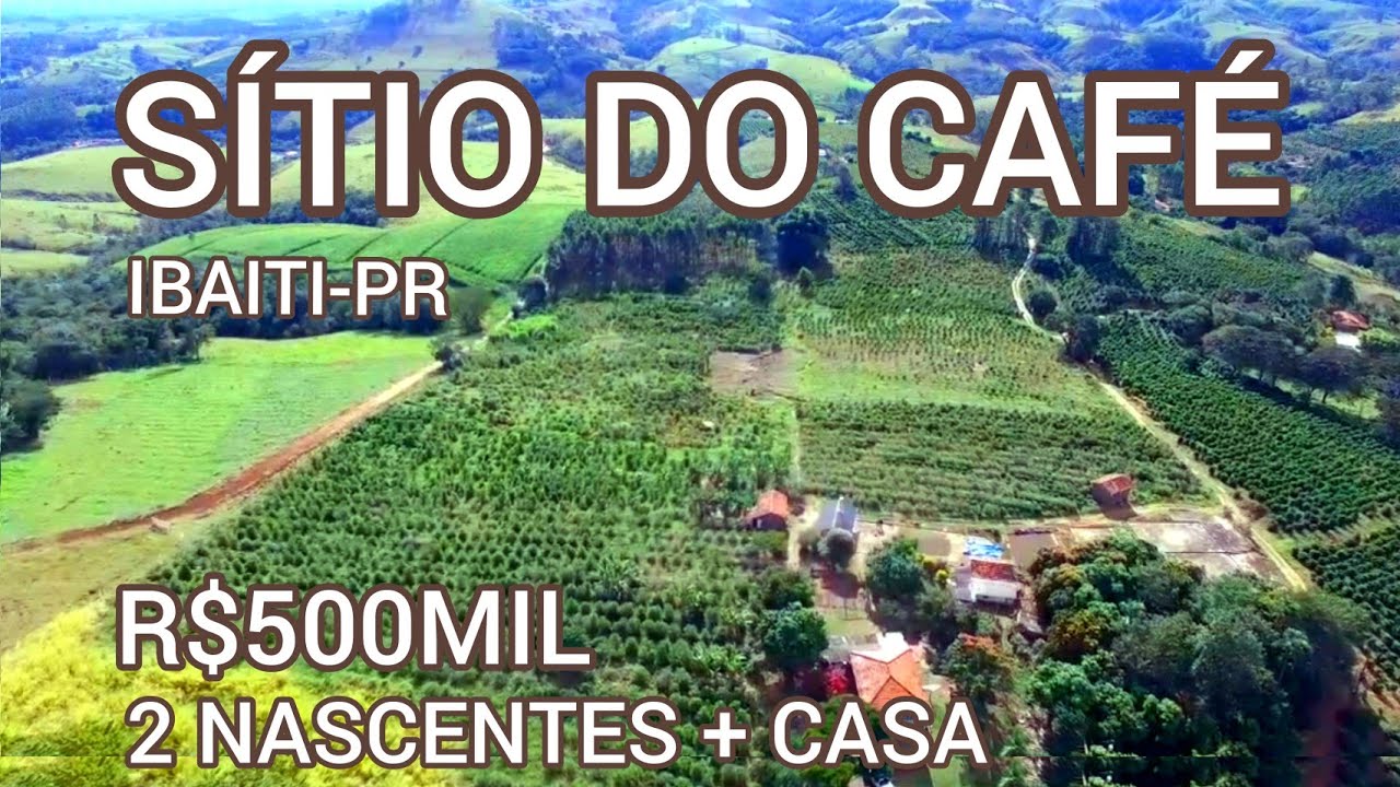 SÍTIO DO CAFÉ IBAITI-PR + 2 NASCENTES + CASA SIMPLES! R$ 500MIL  📲43-99934-4941