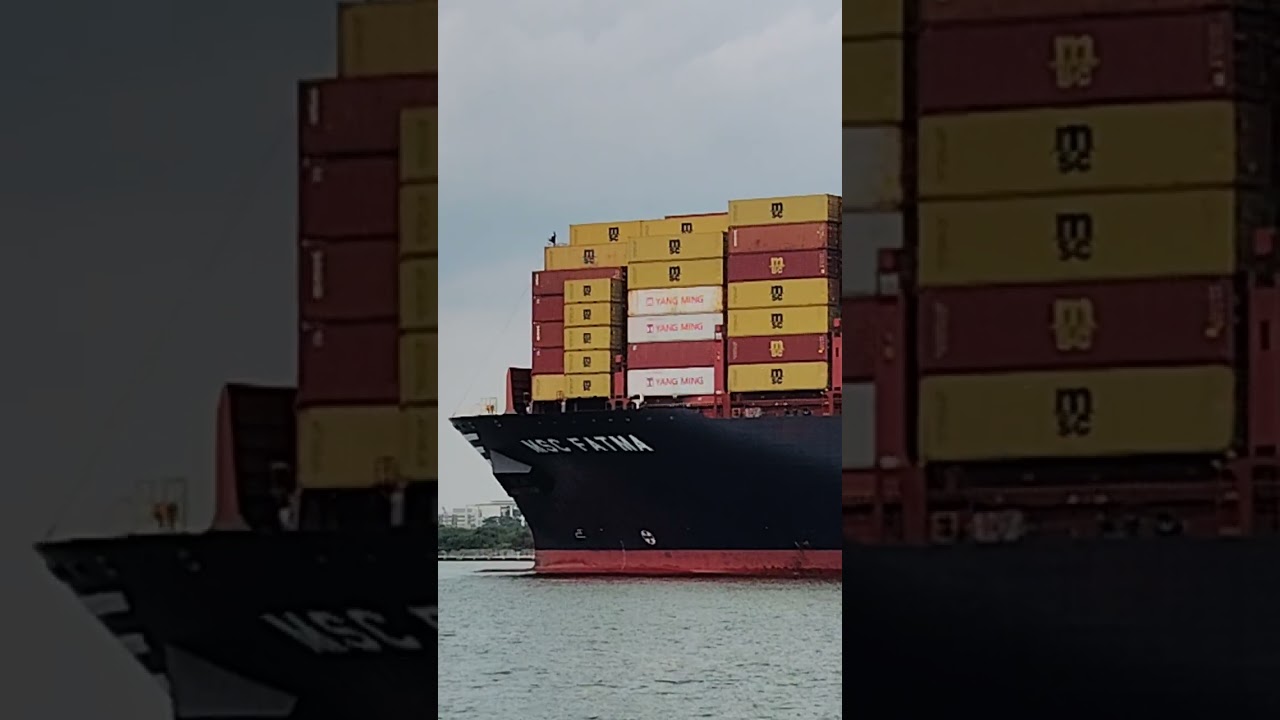 Behind Global Logistics: The moment the enormous MSC FATMA arrived #mediterraneanshippingcompany 