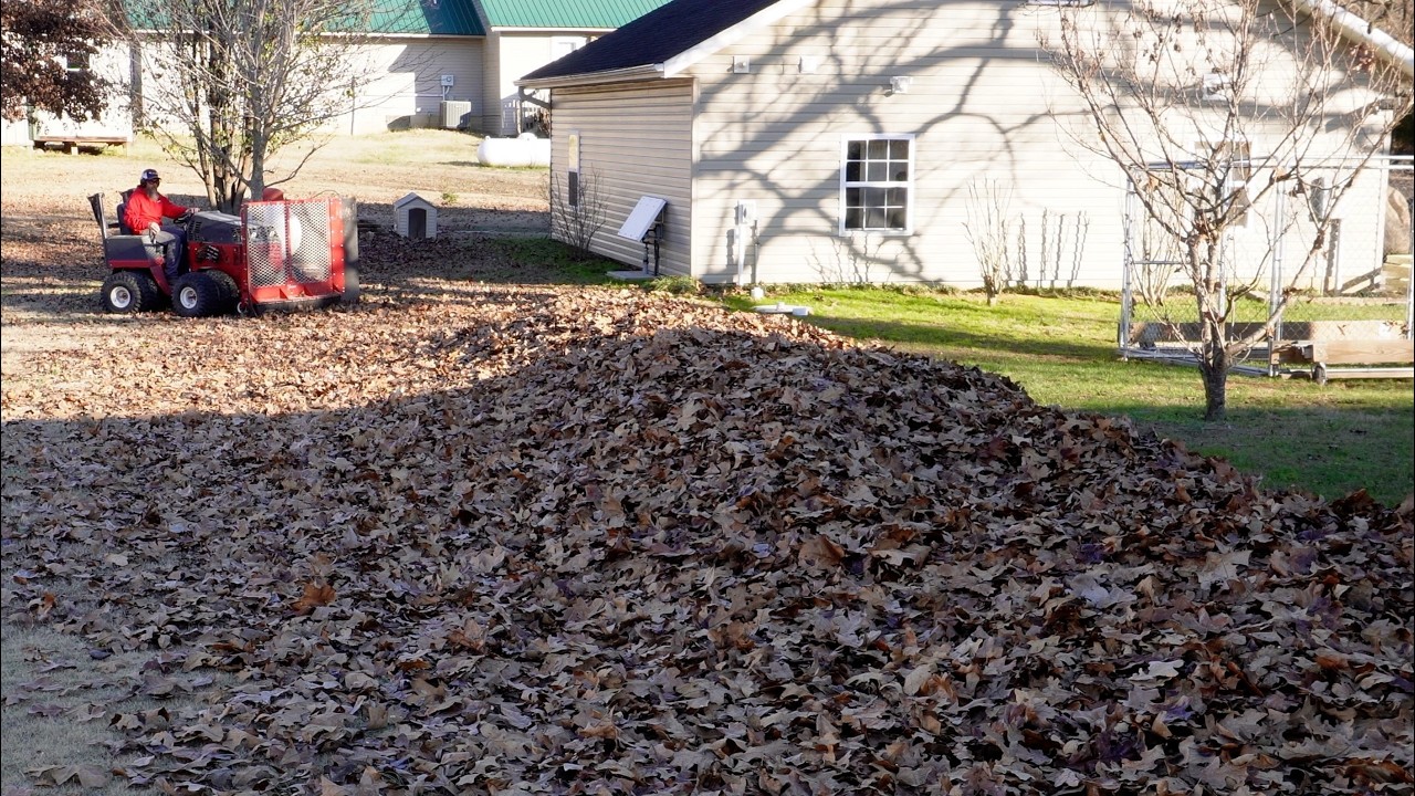 ONE Tree Made ALL of this MESS!  I Have to Get EVERY Single Leaf Out of Here!