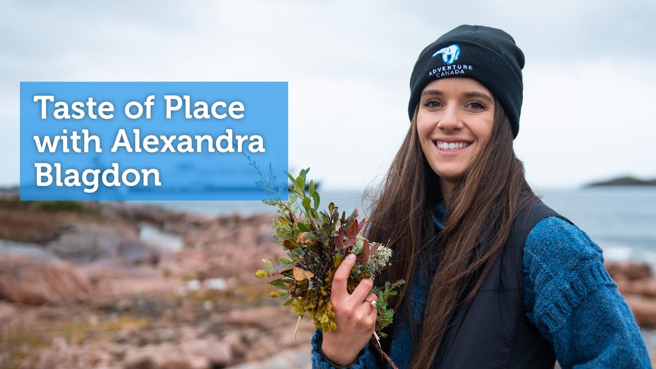 Foraging in Newfoundland with Alley Blagdon