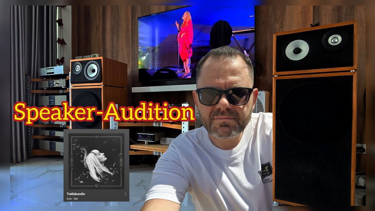 Part 2 #audiophile #highend #loudspeaker #audio #stereo #hifi