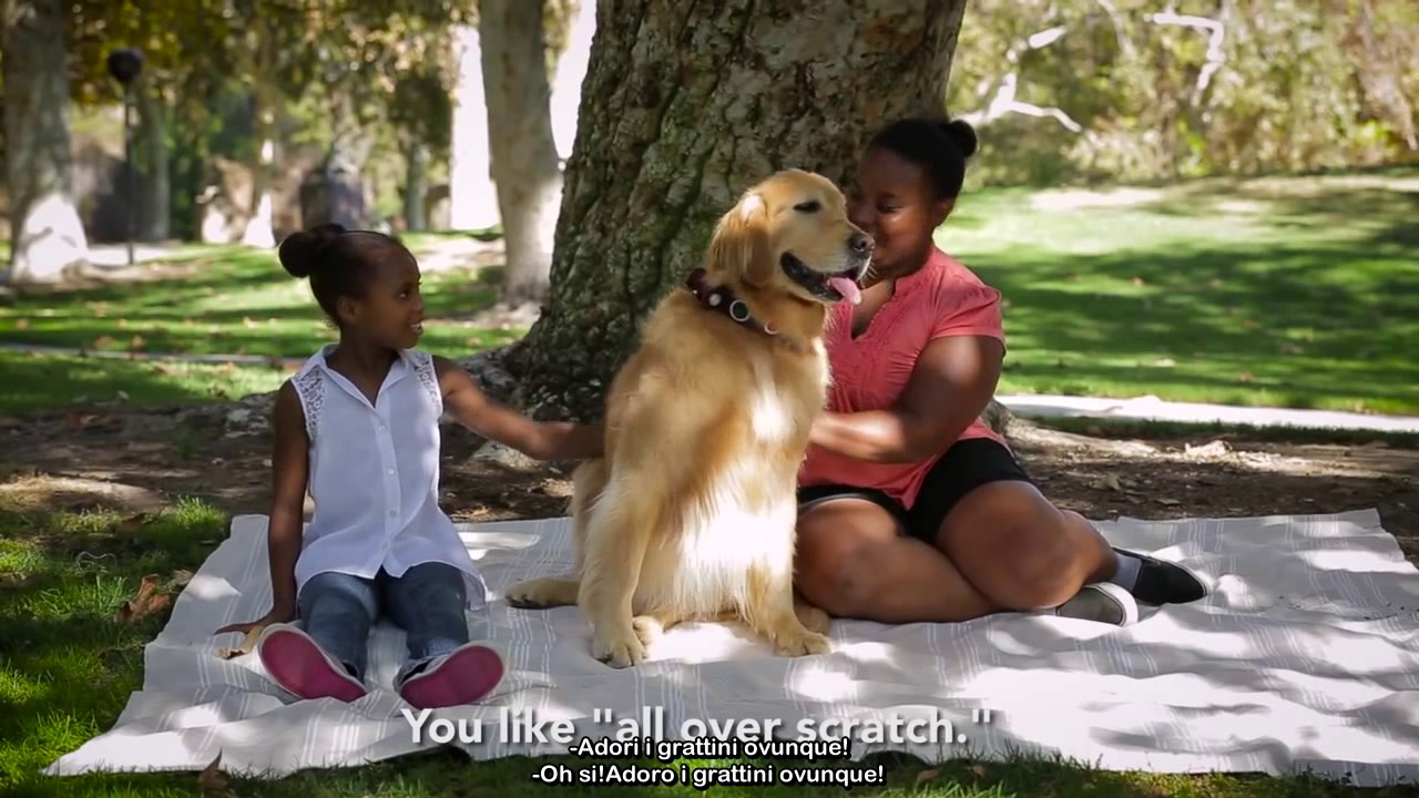 Disney&bull;Pixar&rsquo;s Dug the Talking Dog In Real Life  Dug nella vita reale sub ita