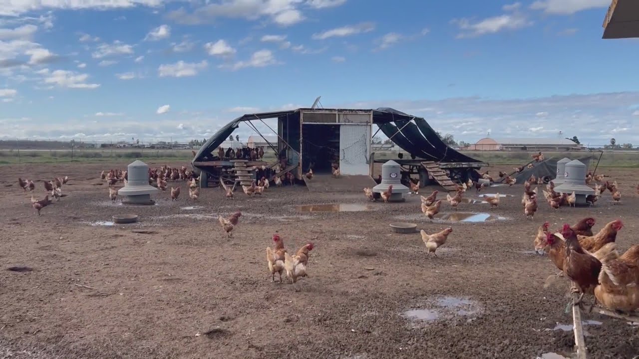 Tulare County Sheriff's farm feeds inmates, saving $1M a year