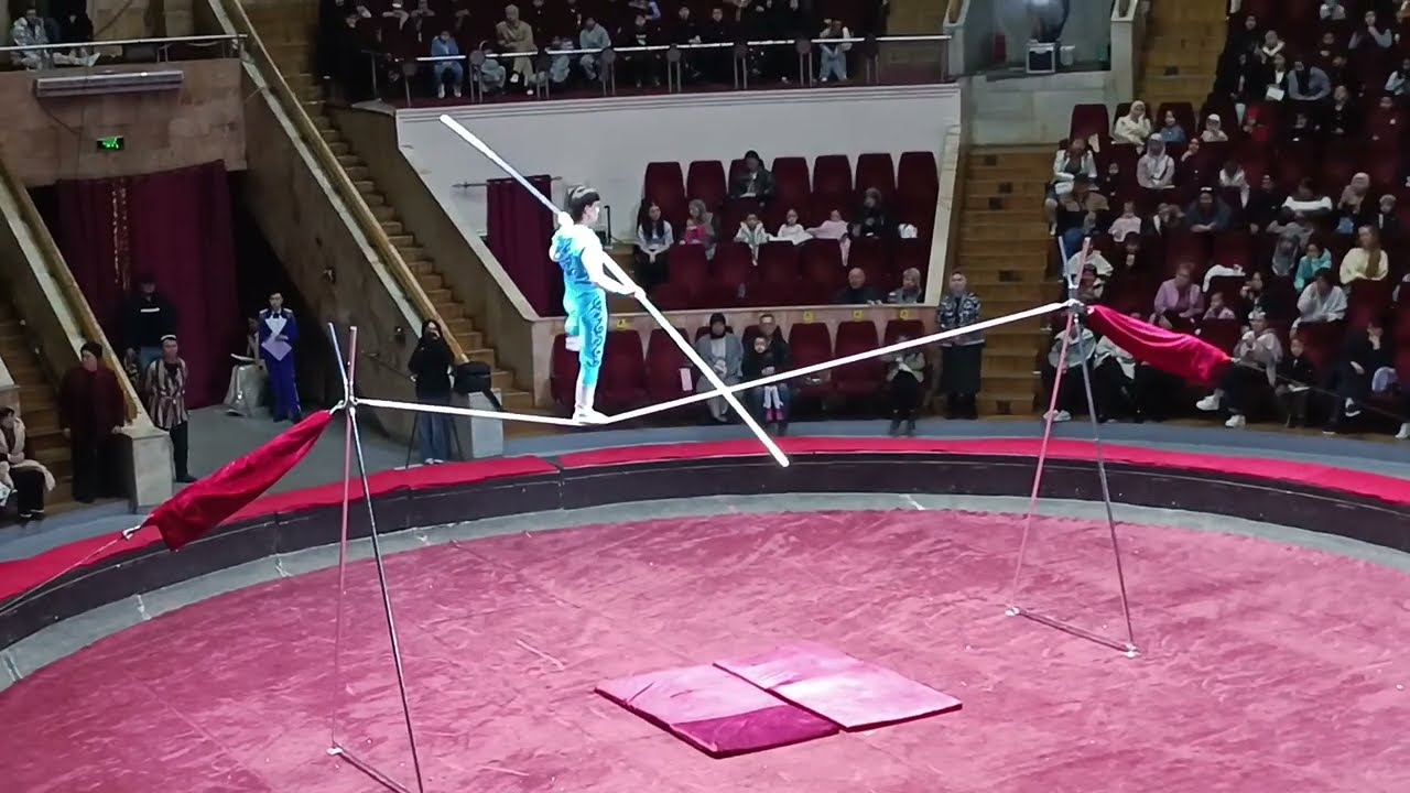 Тошкент Давлат Цирки 🎪 Тамошаси, дорвоз #цирк #ташкент 