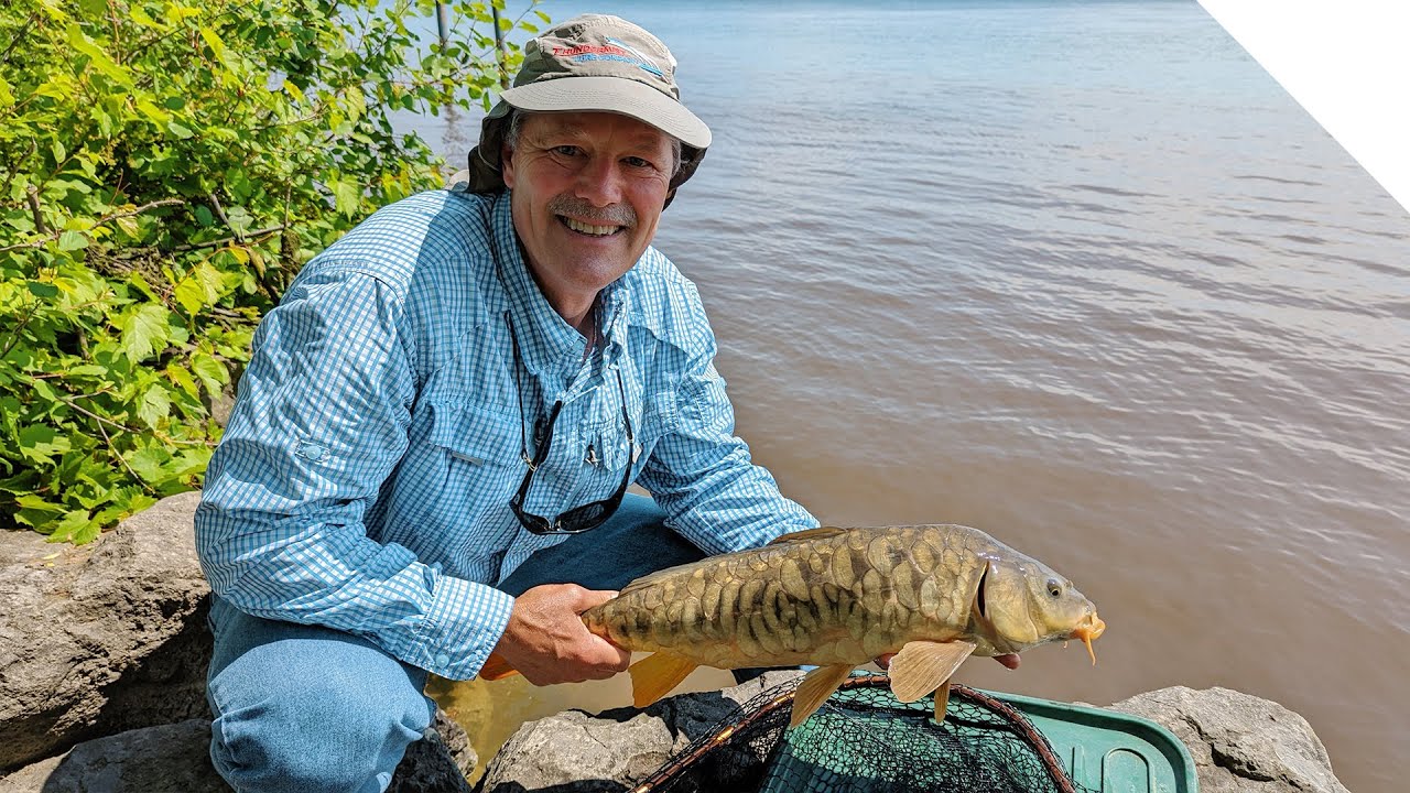 Carp fishing from shore with the simplest bait: corn!