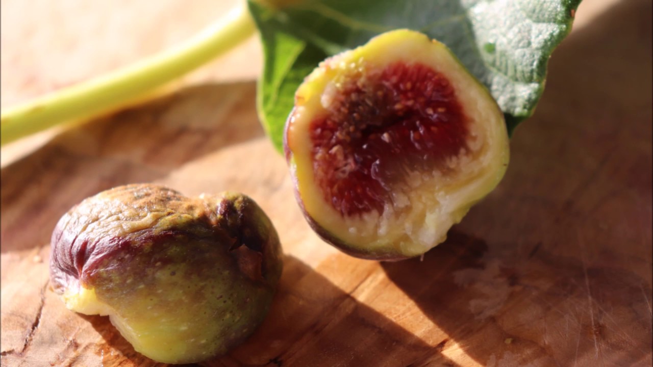 Tasting a Socorro Black Fig in Fall - AZ 9B